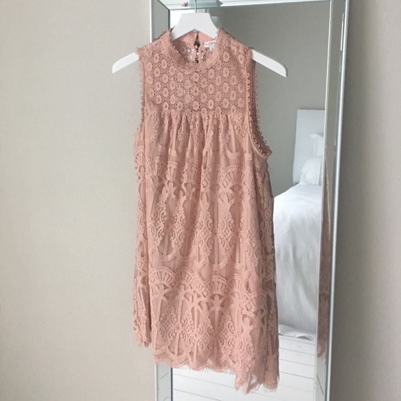 Blush Scalloped Lace Shift mini dress - Picture 2 of 2
